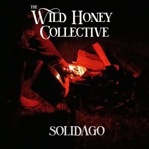 Solidago - CD